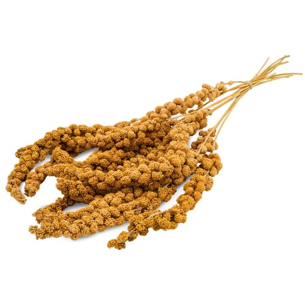 JR FARM Spray Millet Yellow - gul hirs i ax 250g