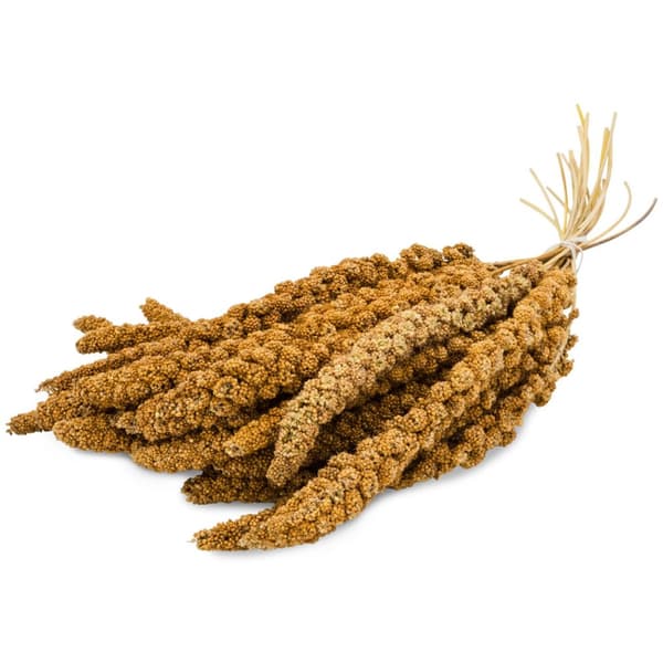 JR FARM Spray Millet Yellow - gul hirs i ax 500g