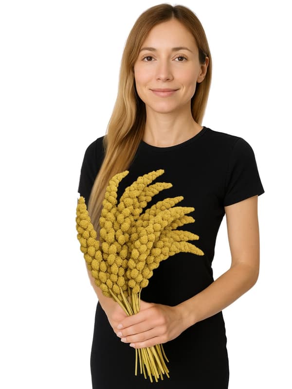 JR FARM Spray Millet Yellow - gul hirs i ax 500g
