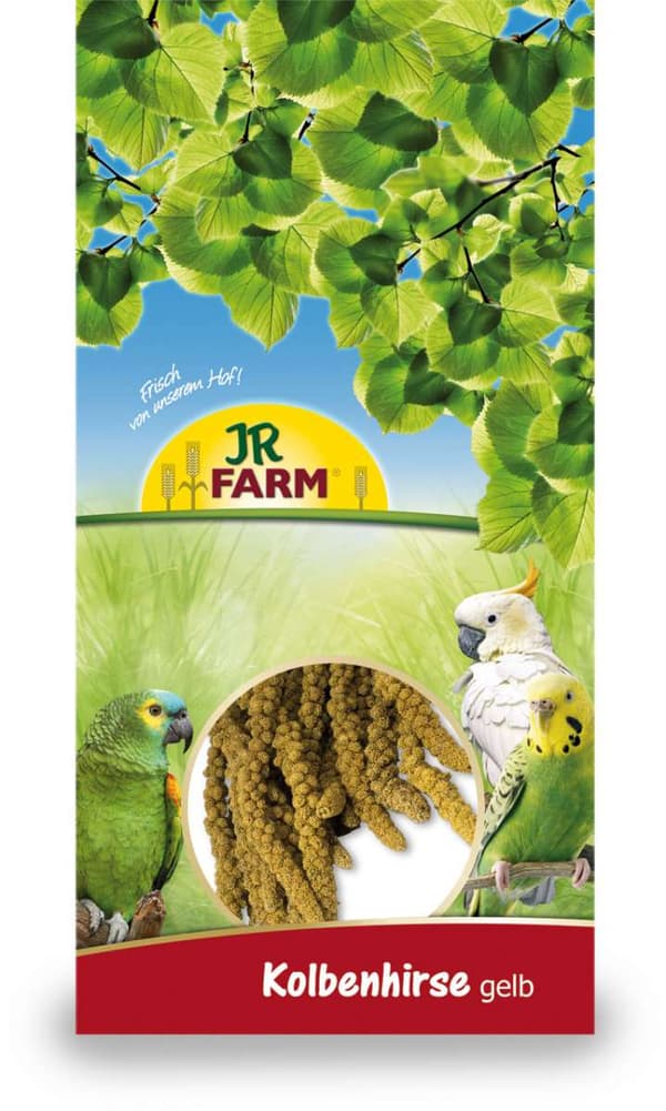 JR FARM Spray Millet Yellow - gul hirse i ører til papegøjer 1 kg