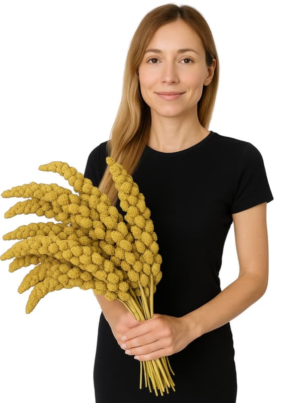 JR FARM Spray Millet Yellow - gul hirse i ører til papegøjer 1 kg