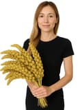 Miniatyrbillede 1 af 6: JR FARM Spray Millet Yellow - gul hirse i ører til papegøjer 1 kg
