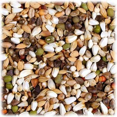 JR FARM Big Parrots - Ituja suurille papukaijoille 1 kg