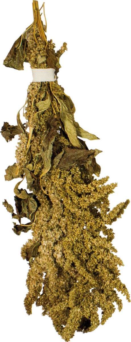 JR FARM Amaranttia korvissa murskaukseen kaikille papukaijoille 30 g