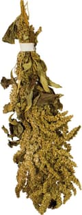 Pikkukuva 3 / 5: JR FARM Amaranttia korvissa murskaukseen kaikille papukaijoille 30 g
