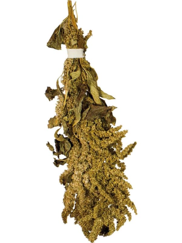 JR FARM Amaranttia korvissa murskaukseen kaikille papukaijoille 30 g