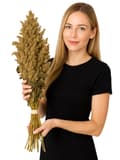 Pikkukuva 1 / 5: JR FARM Amaranttia korvissa murskaukseen kaikille papukaijoille 30 g