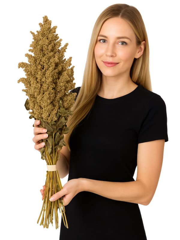 JR FARM Amaranttia korvissa murskaukseen kaikille papukaijoille 30 g