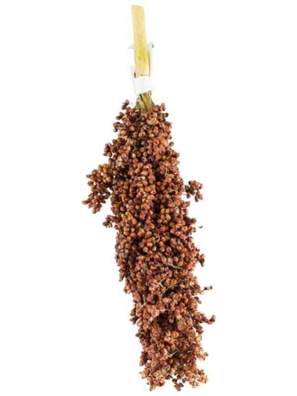 JR FARM Dari i öronen för att knastra för alla papegojor 100g
