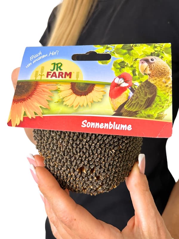 JR FARM solros på ett snöre - ett hälsosamt mellanmål för alla papegojor 30g