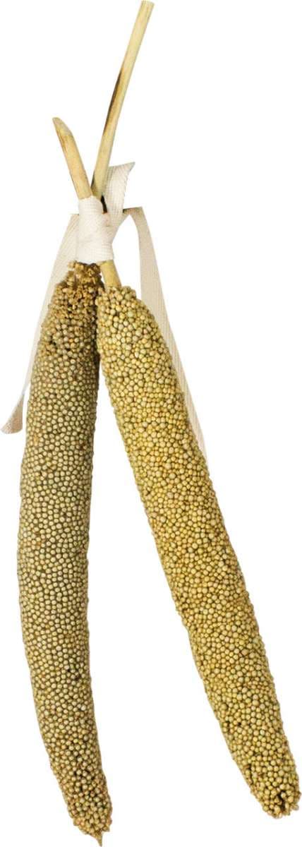 JR FARM Pearl Millet -korvakuume kaikille papukaijoille 40 g