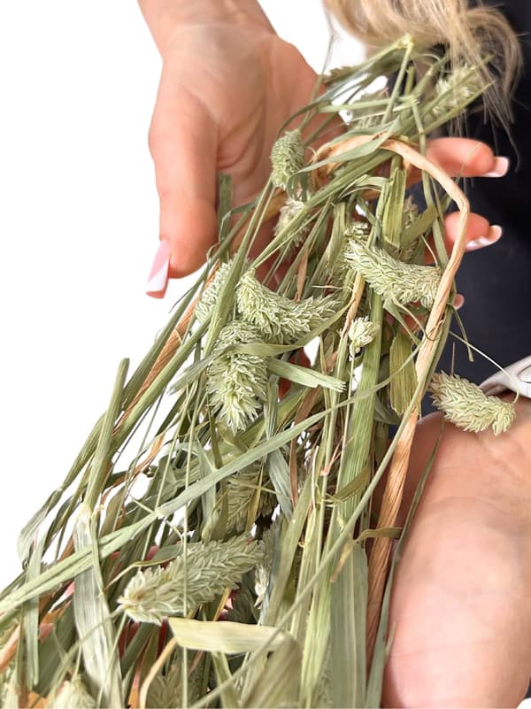 JR FARM Kanariansiemeniä korvissa murustukseen kaikille papukaijoille 20 g