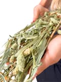 Pikkukuva 4 / 11: JR FARM Kanariansiemeniä korvissa murustukseen kaikille papukaijoille 20 g