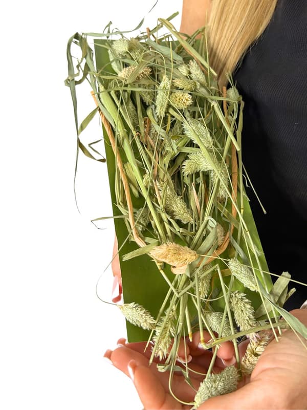 JR FARM Kanariansiemeniä korvissa murustukseen kaikille papukaijoille 20 g