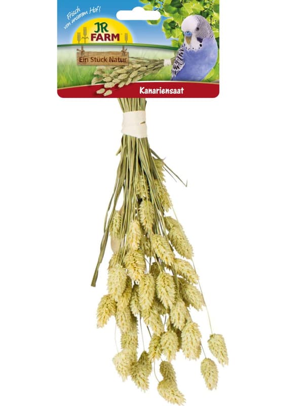 JR FARM Kanariansiemeniä korvissa murustukseen kaikille papukaijoille 20 g