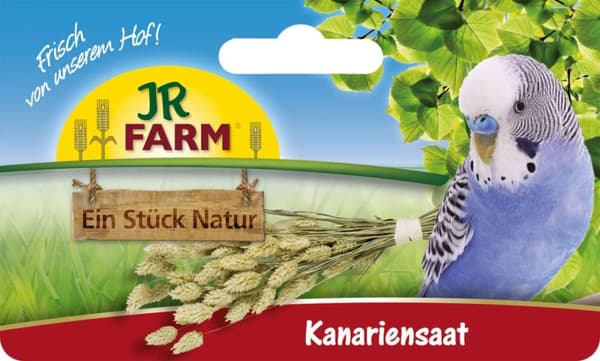 JR FARM Kanariansiemeniä korvissa murustukseen kaikille papukaijoille 20 g