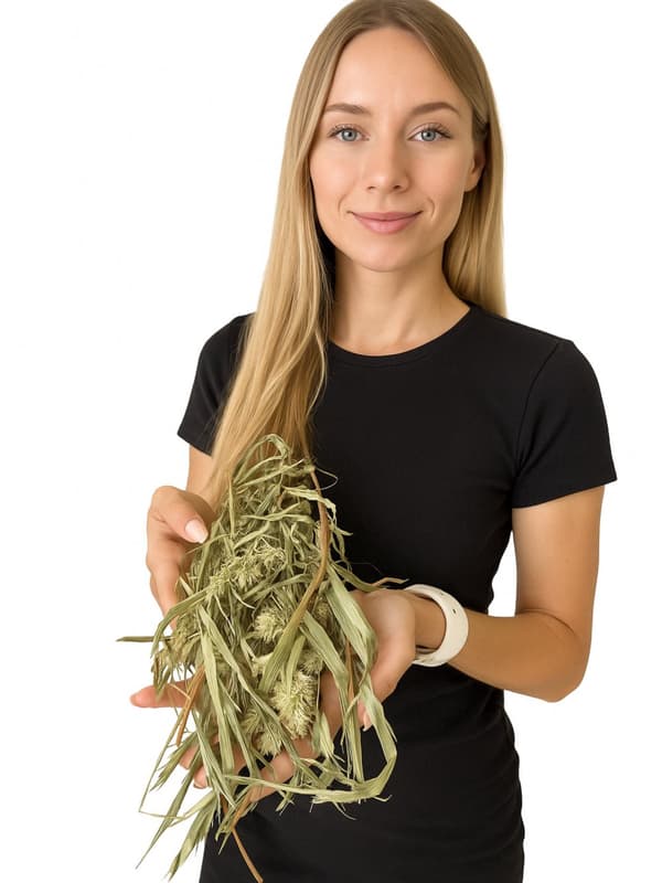 JR FARM Kanariansiemeniä korvissa murustukseen kaikille papukaijoille 20 g