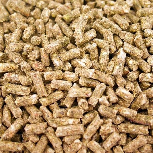 TOP pienille koukkunokkaille - rakeita undulaattipölylle ja muille pienille papukaijoille 1,36 kg