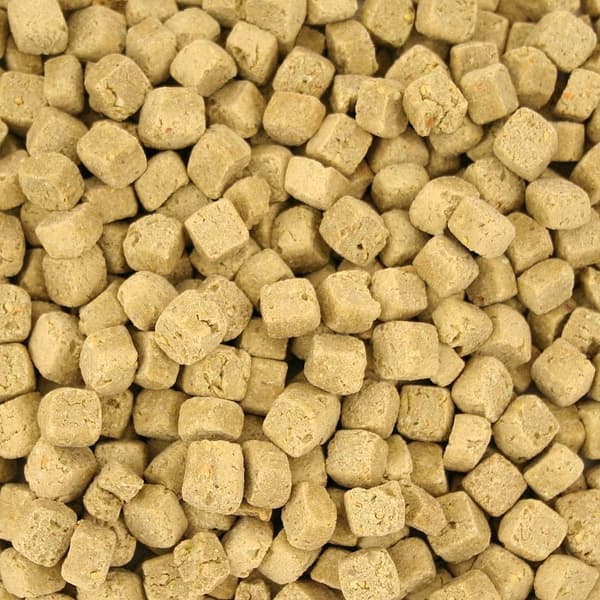 Harrison's High Potency Coarse-Complete Organic Papegojfoder - Granulat för medelstora och stora papegojor 15 % fett 450 g