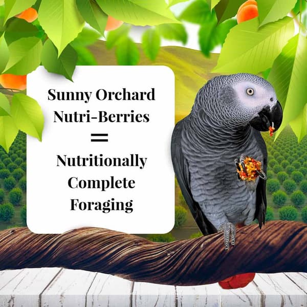 Lafeber NutriBerries Sunny Orchard - Foder: spannmål med frukt från fruktträdgården i form av bollar för medelstora och stora papegojor 284g