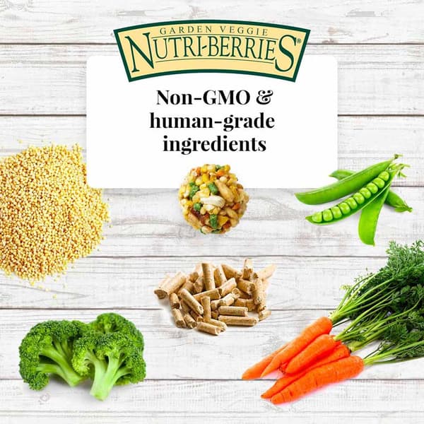Lafeber NutriBerries Garden Veggie - Foder med grönsaker i bollform för medelstora och stora papegojor 1,36 kg