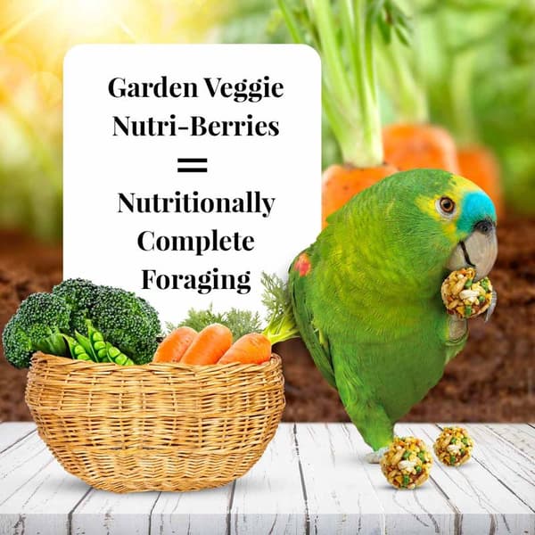 Lafeber NutriBerries Garden Veggie - Foder med grönsaker i bollform för medelstora och stora papegojor 1,36 kg