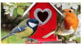 Miniatyrbild 5 av 5: Claus Garden fågelmat 500g