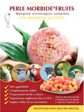 Miniatyrbild 1 av 2: Ornitalia Perle Morbide FRUITS RED - Läckra fruktgroddar i färgglada bollar för alla papegojor 4 kg