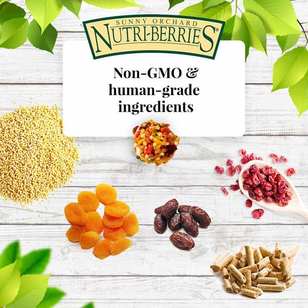 Lafeber NutriBerries Sunny Orchard Cockatiel - Foder: spannmål med frukt från fruktträdgården i form av bollar för små och medelstora papegojor 284g