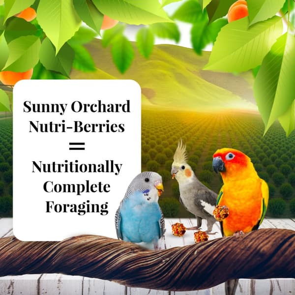 Lafeber NutriBerries Sunny Orchard Cockatiel - Foder: spannmål med frukt från fruktträdgården i form av bollar för små och medelstora papegojor 284g