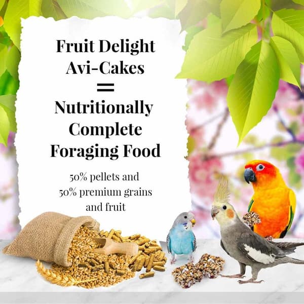Lafeber Avi-Cakes Fruit Delight - Balanserat foder: frukt + spannmål + kakformade granuler för nymfparakiter och andra papegojor 230 g
