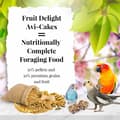 Miniatyrbild 2 av 5: Lafeber Avi-Cakes Fruit Delight - Balanserat foder: frukt + spannmål + kakformade granuler för nymfparakiter och andra papegojor 230 g