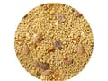 Pikkukuva 2 / 4: VETAFARM - PARROT ESSENTIALS - Ympärivuotiset PÄHKINÄ-HEDELMÄ-rakeet KAIKILLE PAPAKUJOILLE 350 g
