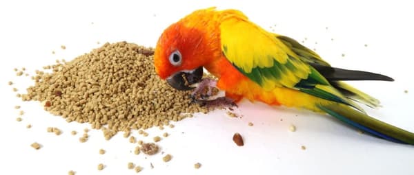 VETAFARM - PARROT ESSENTIALS - Ympärivuotiset PÄHKINÄ-HEDELMÄ-rakeet KAIKILLE PAPAJAUKOILLE 2kg