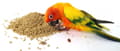 Pikkukuva 3 / 4: VETAFARM - PARROT ESSENTIALS - Ympärivuotiset PÄHKINÄ-HEDELMÄ-rakeet KAIKILLE PAPAJAUKOILLE 2kg