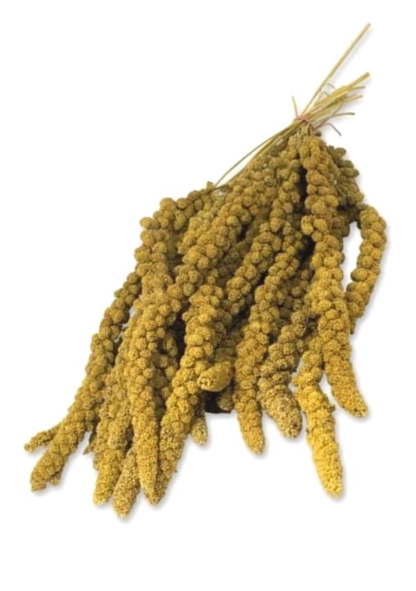 LoLo Pets BASIC Hirs 100g gul hirs i öronen