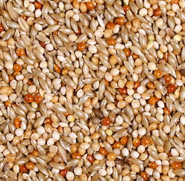Jr Farm - foder för undulater 1 kg
