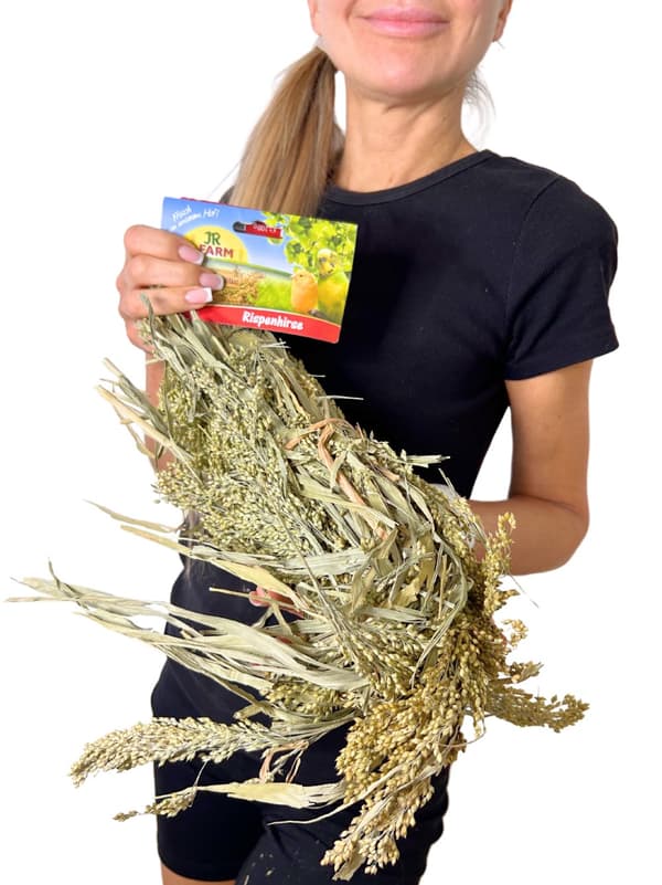JR FARM Hirs utspritt i öronen för att knastra för alla papegojor 100g