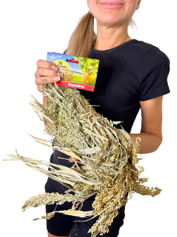 JR FARM Hirs utspritt i öronen för att knastra för alla papegojor 100g