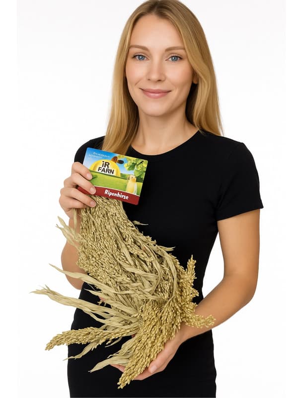 JR FARM Hirs utspritt i öronen för att knastra för alla papegojor 100g