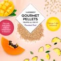 Miniatyrbild 3 av 5: Lafeber Gourmet Pellets - Tropisk Frukt - Undulater - Balanserat foder: granulat med frukt för undulater 567g