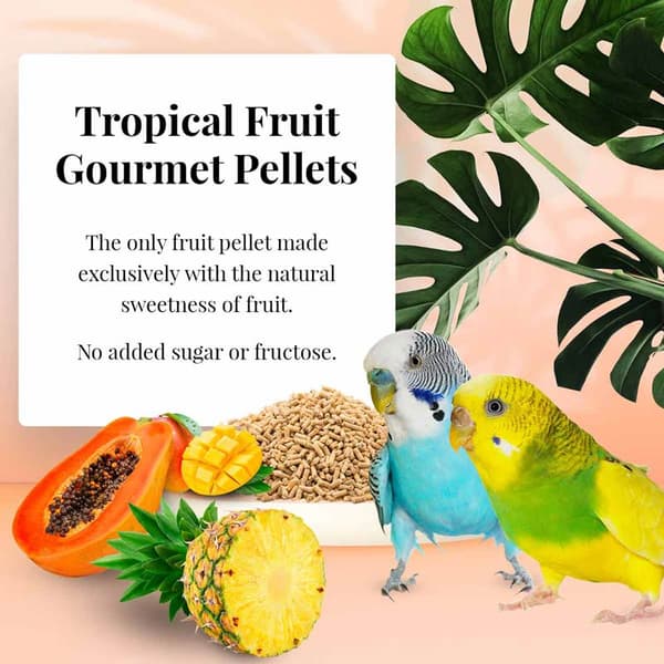 Lafeber Gourmet Pellets - Tropisk Frukt - Undulater - Balanserat foder: granulat med frukt för undulater 567g