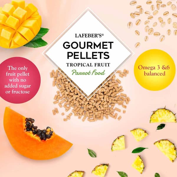 Lafeber Gourmet Pellets - Tropisk frukt - Papegojor - Balanserat foder: granulat med frukt för stora papegojor 567 g