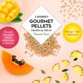 Miniatyrbild 3 av 5: Lafeber Gourmet Pellets - Tropisk frukt - Papegojor - Balanserat foder: granulat med frukt för stora papegojor 567 g