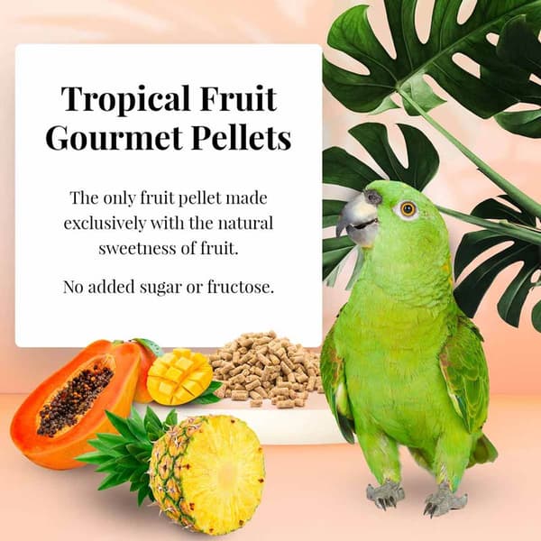 Lafeber Gourmet Pellets - Tropisk frukt - Papegojor - Balanserat foder: granulat med frukt för stora papegojor 567 g