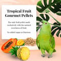Miniatyrbild 2 av 5: Lafeber Gourmet Pellets - Tropisk frukt - Papegojor - Balanserat foder: granulat med frukt för stora papegojor 567 g