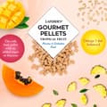 Pikkukuva 3 / 5: Lafeber Gourmet Pellets - Trooppiset hedelmät - Arat ja Kakadut - Tasapainoinen ruoka: hedelmärakeet AR:lle JA KAKADUlle 567g