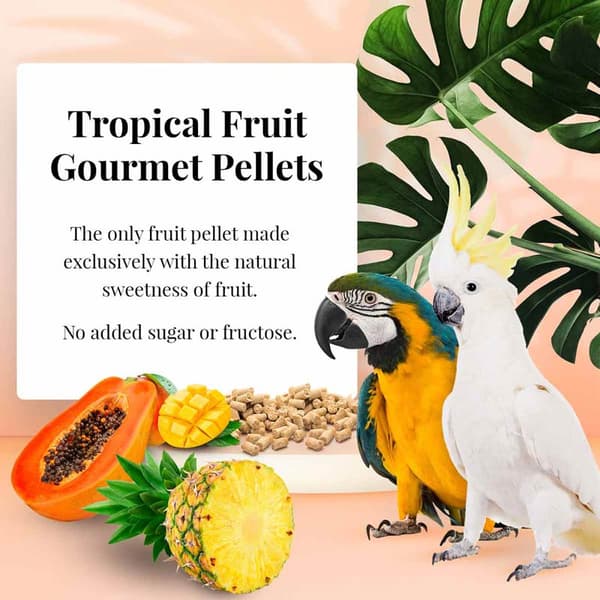 Lafeber Gourmet Pellets - Trooppiset hedelmät - Arat ja Kakadut - Tasapainoinen ruoka: hedelmärakeet AR:lle JA KAKADUlle 567g