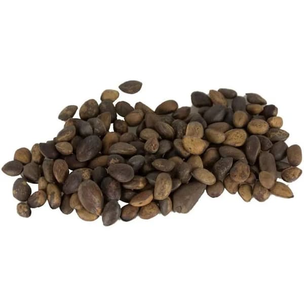Back Zoo Nature - Setripähkinät papukaijoille 200 g