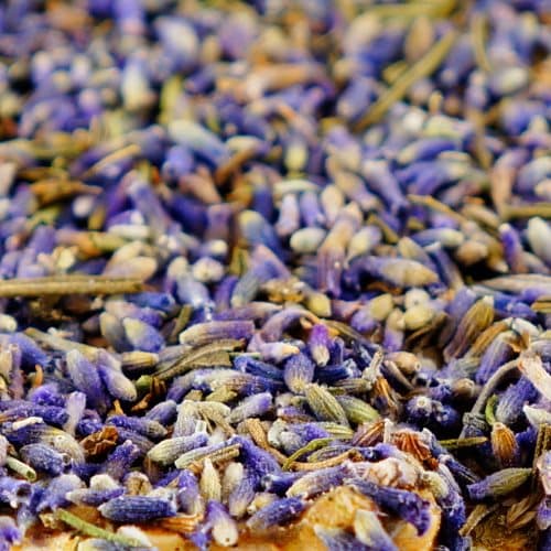 Rismacka med lavendel och grönsaker - för alla papegojor
